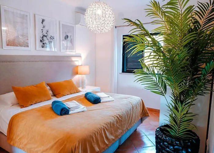 Miracampo - Elegant Secret 알부페이라