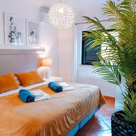 Miracampo - Elegant Secret البوفيرا